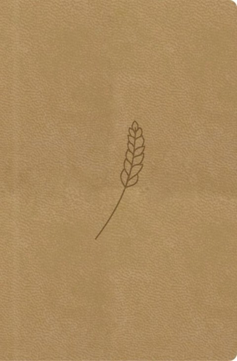 neuveden: Bible, překlad 21. století (medová) - kapesní neuveden: Bible, překlad 21. století (medová) - kapesní