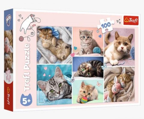 neuveden: Trefl Puzzle V kočičím světě/100 dílků