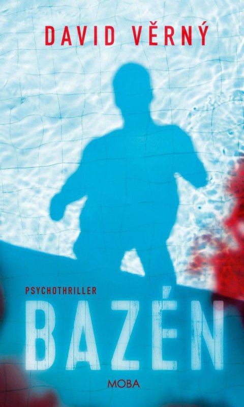 Věrný David: Bazén Věrný David: Bazén