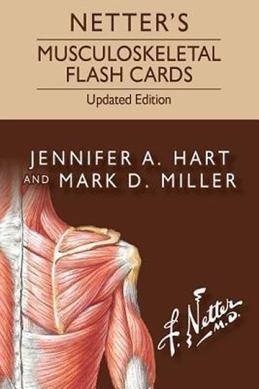 Hart Jennifer: Netter´s Musculoskeletal Flash Cards Upd