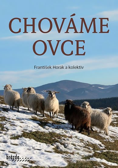 kolektiv autorů: Chováme ovce - Brázda