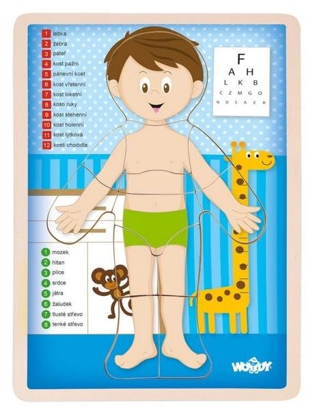 neuveden: Woody Puzzle Lidské tělo - Kluk, v českém jazyce neuveden: Woody Puzzle Lidské tělo - Kluk, v českém jazyce