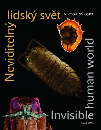 Sýkora Viktor: Neviditelný lidský svět