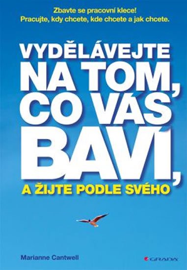 Cantwell Marianne: Vydělávejte na tom, co vás baví, a žijte podle svého