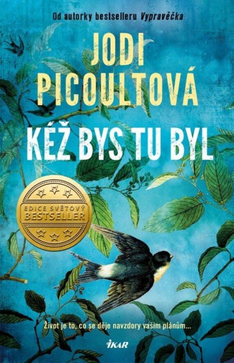 Picoultová Jodi: Kéž bys tu byl Picoultová Jodi: Kéž bys tu byl