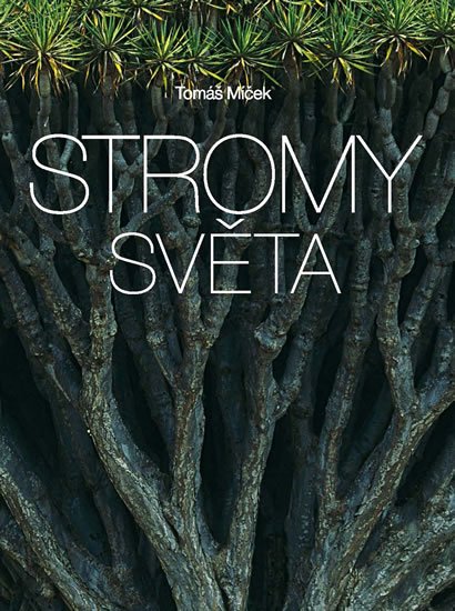 Míček Tomáš: Stromy světa Míček Tomáš: Stromy světa