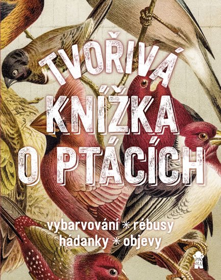 Roebers Geert-Jan: Tvořivá knížka o ptácích
