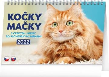 neuveden: Kalendář 2022 stolní: Kočky – Mačky CZ/SK, 23,1 × 14,5 cm