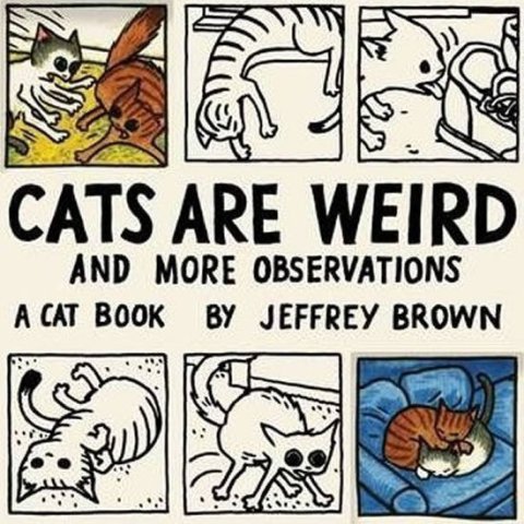 Brown Jeffrey: Cats Are Weird