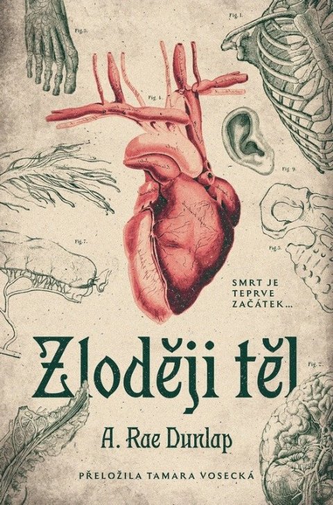 : Zloději těl