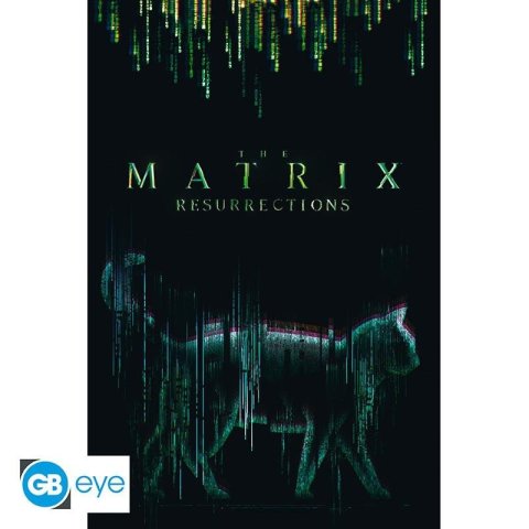 neuveden: Matrix Plakát Maxi Kočka 91,5 x 61 cm