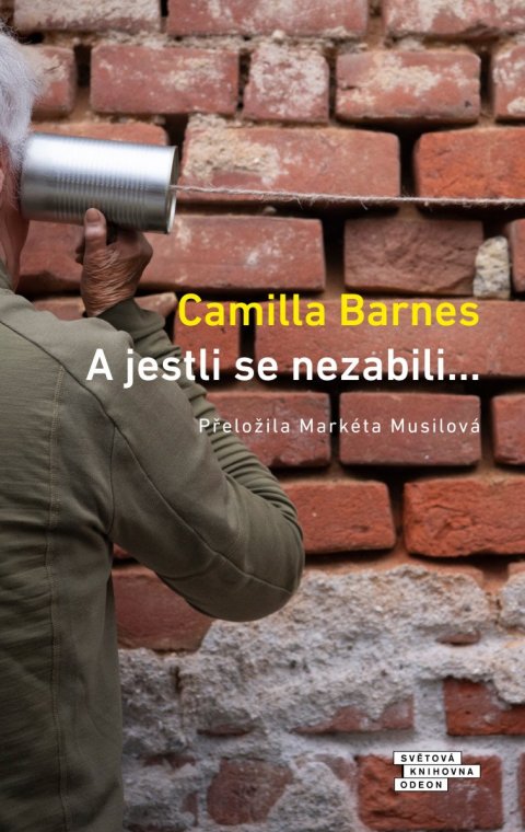 Barnes Camilla: A jestli se nezabili…