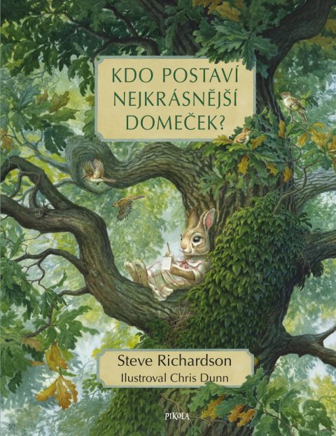 Richardson Steve: Kdo postaví nejkrásnější domeček? Richardson Steve: Kdo postaví nejkrásnější domeček?
