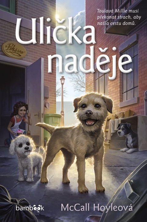 Hoyleová McCall: Ulička naděje