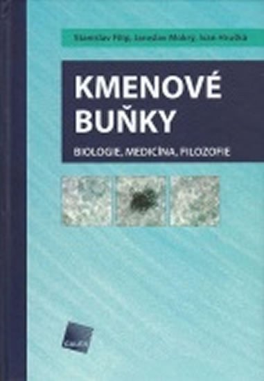Hruška Ivan: Kmenové buňky