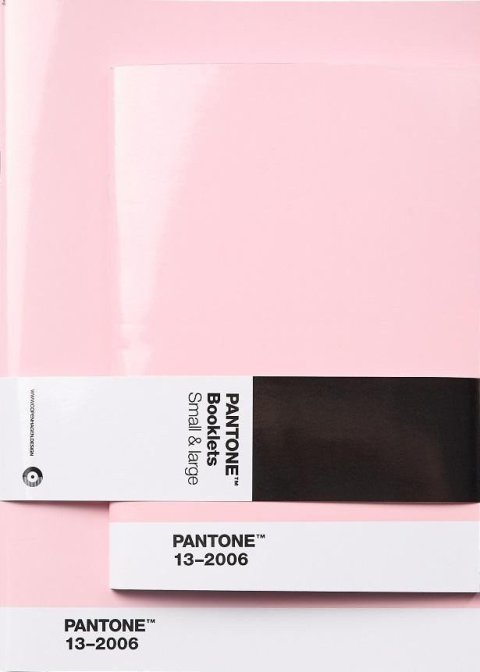 neuveden: Pantone Zápisník tečkovaný, 2 velikosti - Light pink 13-2006