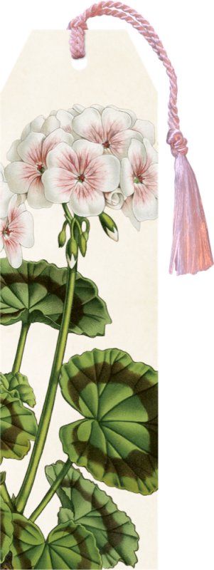 -: Knižní záložka Geranium White