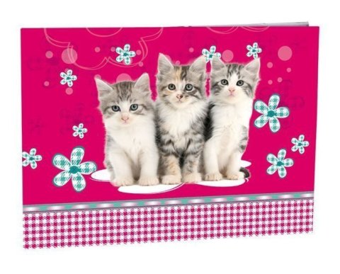 neuveden: Školní desky na číslice - Cats