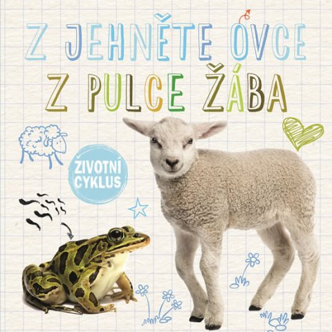 Duhig Holly: Z jehněte ovce, z pulce žába - Životní cyklus Duhig Holly: Z jehněte ovce, z pulce žába - Životní cyklus