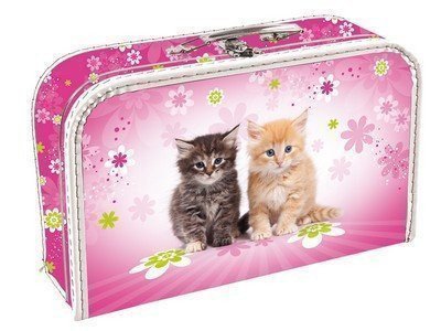 neuveden: Kufřík papírový - Cats