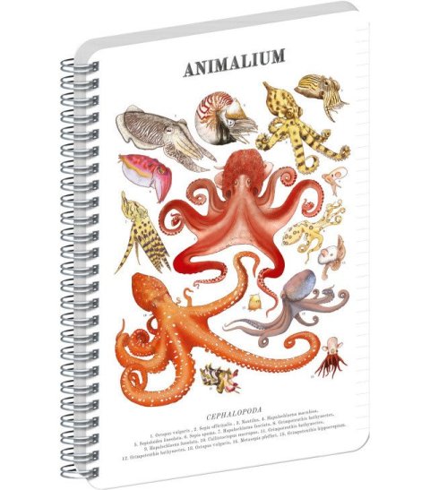 : Spirálový blok Animalium - Hlavonožci, linkovaný, A4