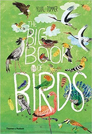Zommer Yuval: The Big Book of Birds