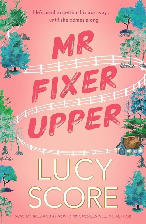 Score Lucy: Mr Fixer Upper: the new romance from the bestselling Tiktok sensation!