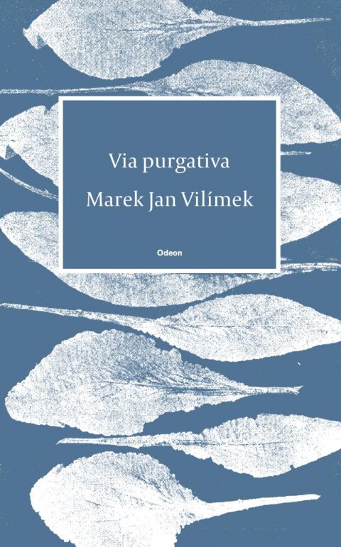 Vilímek Marek Jan: Via purgativa