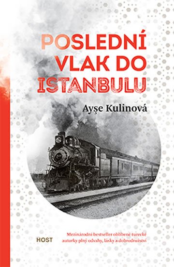 Kulinová Ayse: Poslední vlak do Istanbulu