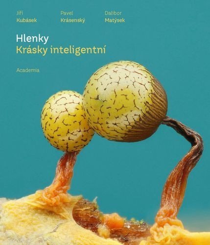 : Hlenky - Krásky inteligentní