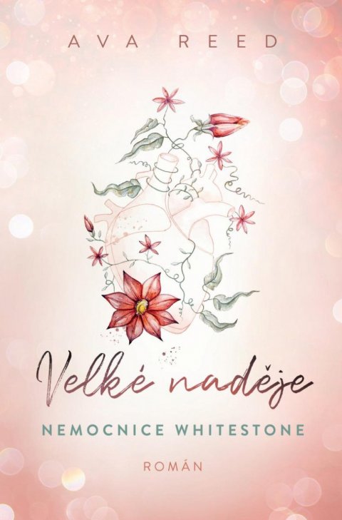 Reed Ava: Velké naděje - Nemocnice Whitestone 1