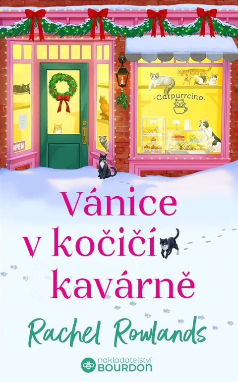 Rowlands Rachel: Vánice v kočičí kavárně