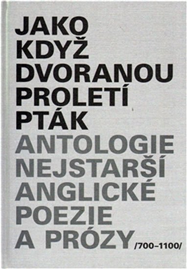 kolektiv autorů: Jako když dvoranou proletí pták kolektiv autorů: Jako když dvoranou proletí pták