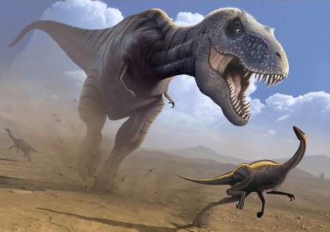 neuveden: Pohlednice 3D - Lovící T-Rex