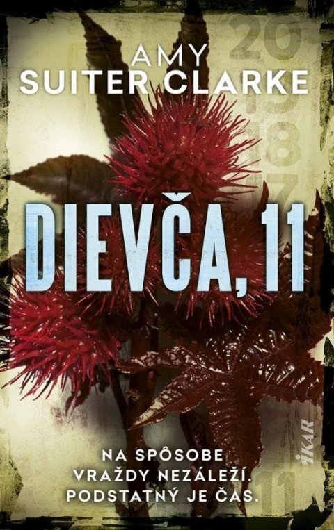 Suiter Clarke Amy: Dievča, 11 (slovensky)