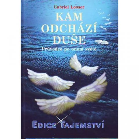 Looser Gabriel: Kam odchází duše? Looser Gabriel: Kam odchází duše?
