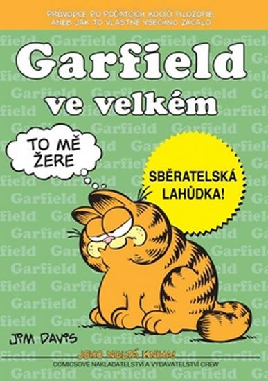 Davis Jim: Garfield ve velkém