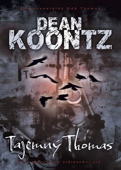 Koontz Dean: Tajemný Thomas