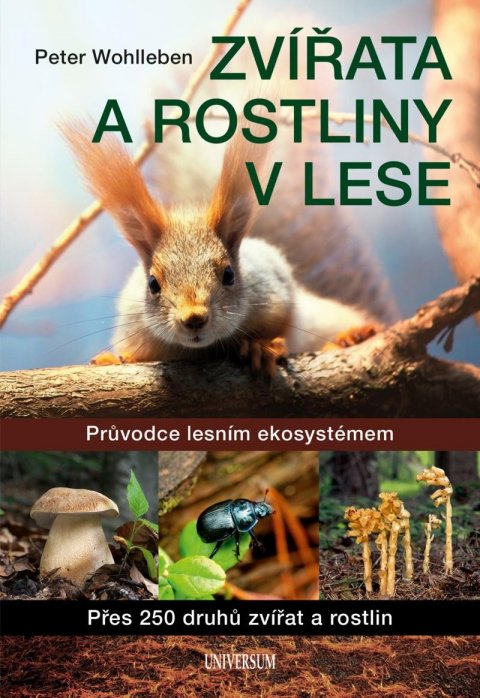 Wohlleben Peter: Zvířata a rostliny v lese