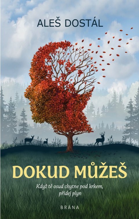 Dostál Aleš: Dokud můžeš