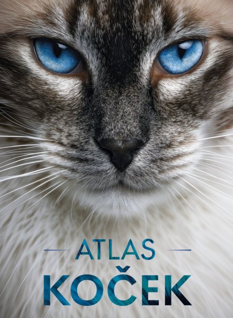 -: Atlas koček