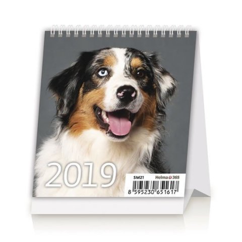 neuveden: Kalendář stolní 2019 - Mini Puppies