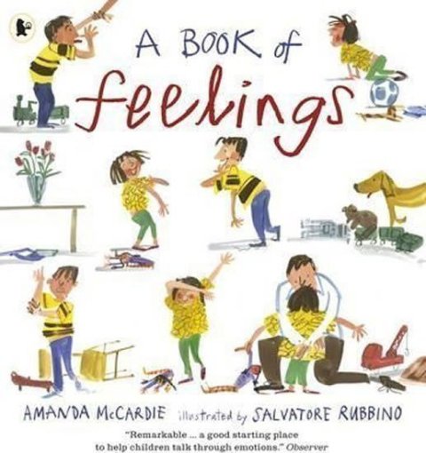 McCardie Amanda: A Book of Feelings