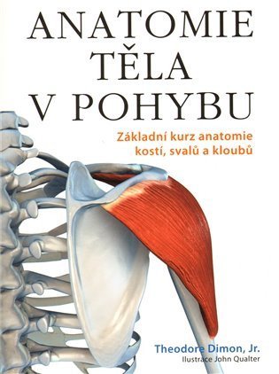 Dimon Theodore: Anatomie těla v pohybu