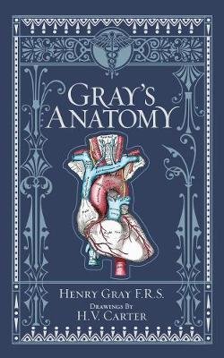 Gray Henry: Gray´s Anatomy (Barnes & Noble Collectible Classics: Omnibus Edition)