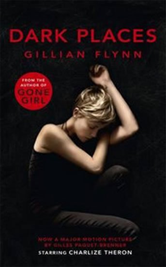 Flynnová Gillian: Dark Places