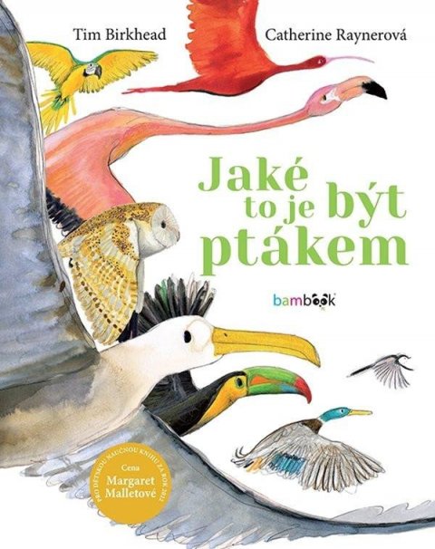 Birkhead Tim: Jaké to je být ptákem