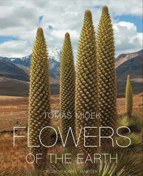 Míček Tomáš: Flowers of the Earth