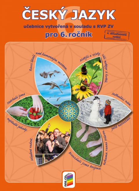 neuveden: Český jazyk 6 (učebnice)
