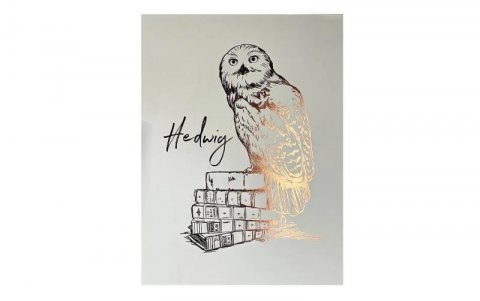 neuveden: Harry Potter Plakát - Hedvika